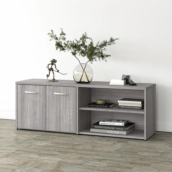 Bush Business Furniture Studio A 21" Low Storage Cabinet With 4 Shelves And Doors, Platinum Gray (SDS160PG-Z) 1 Bush Business Furniture Studio A 21" Low Storage Cabinet With 4 Shelves And Doors, Platinum Gray (SDS160PG-Z)