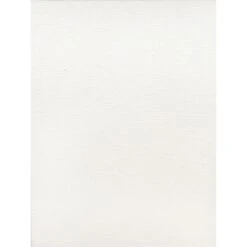 Fredrix Canvas Boards 8 In. X 10 In. Each [Pack Of 12]