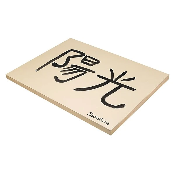 Pacon® Medium Weight Tagboard, 18" X 24", Manila, 100 Sheets (PAC5190) 1 Pacon® Medium Weight Tagboard, 18" X 24", Manila, 100 Sheets (PAC5190)