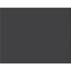 Pacon 4-Ply Poster Board, 22" X 28", Black, 25 Sheets (PAC54811)