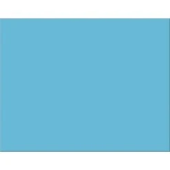 Pacon 4-Ply Poster Board, 22" X 28", Light Blue, 25 Sheets (PAC54841)