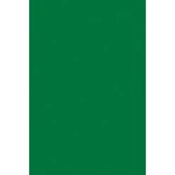 UCreate® Foam Board, 20" X 30", Green, 10 Sheets (PAC5543)