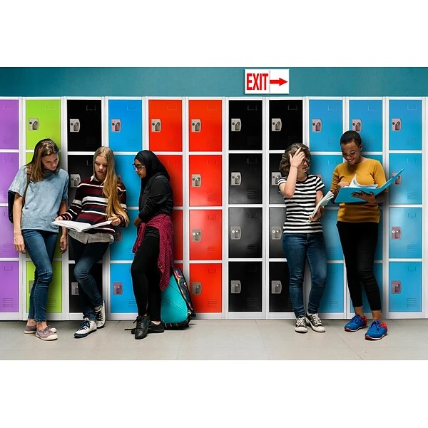 AdirOffice 72" D 4-Compartment Steel Tier Key Lock Purple Storage Locker (629-204-PUR) 4 AdirOffice 72" D 4-Compartment Steel Tier Key Lock Purple Storage Locker (629-204-PUR) - Image 4