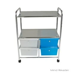 EMS 2-Shelf Metal Mobile Utility Cart, Multi (2SHROLL-ASST) -Prepa Furniture Shop sp20473778 s7