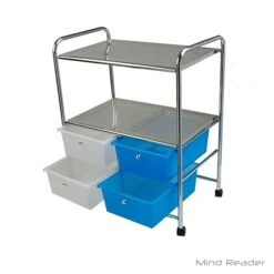 EMS 2-Shelf Metal Mobile Utility Cart, Multi (2SHROLL-ASST) -Prepa Furniture Shop sp20473780 s7