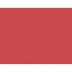 Pacon® Railroad Poster Board, 22"H X 28"W, Red, 25/Ct (54751)